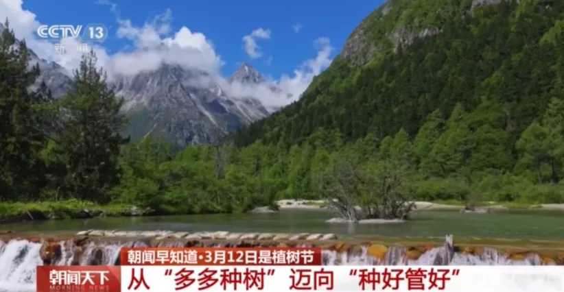 从“单一林”到“混交林” 多地推动森林精准提质