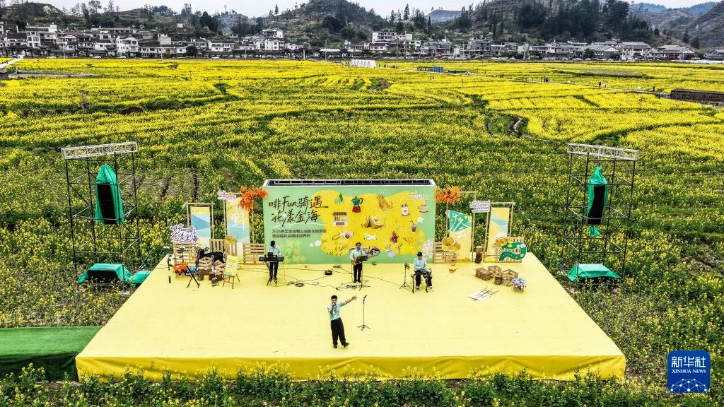 贵州贵定：金色花海绽春光