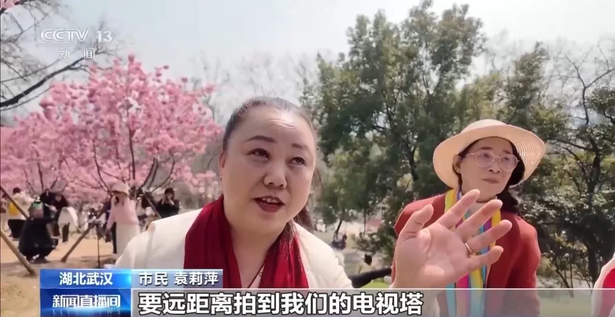 别错过 各地春日花海已上线