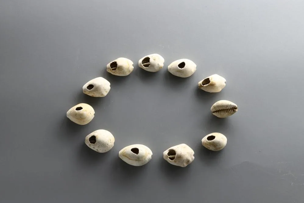 陕西蒋刘遗址发现西周时期遗存