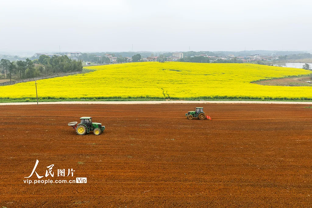 湖南永州：抢抓农时忙春耕
