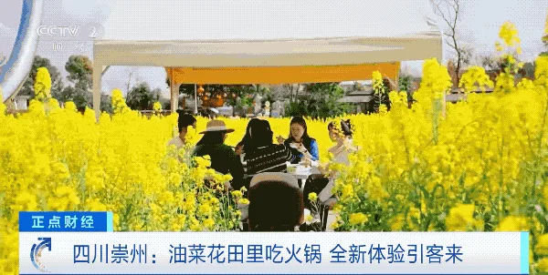 暴涨380%！春日经济，大爆发