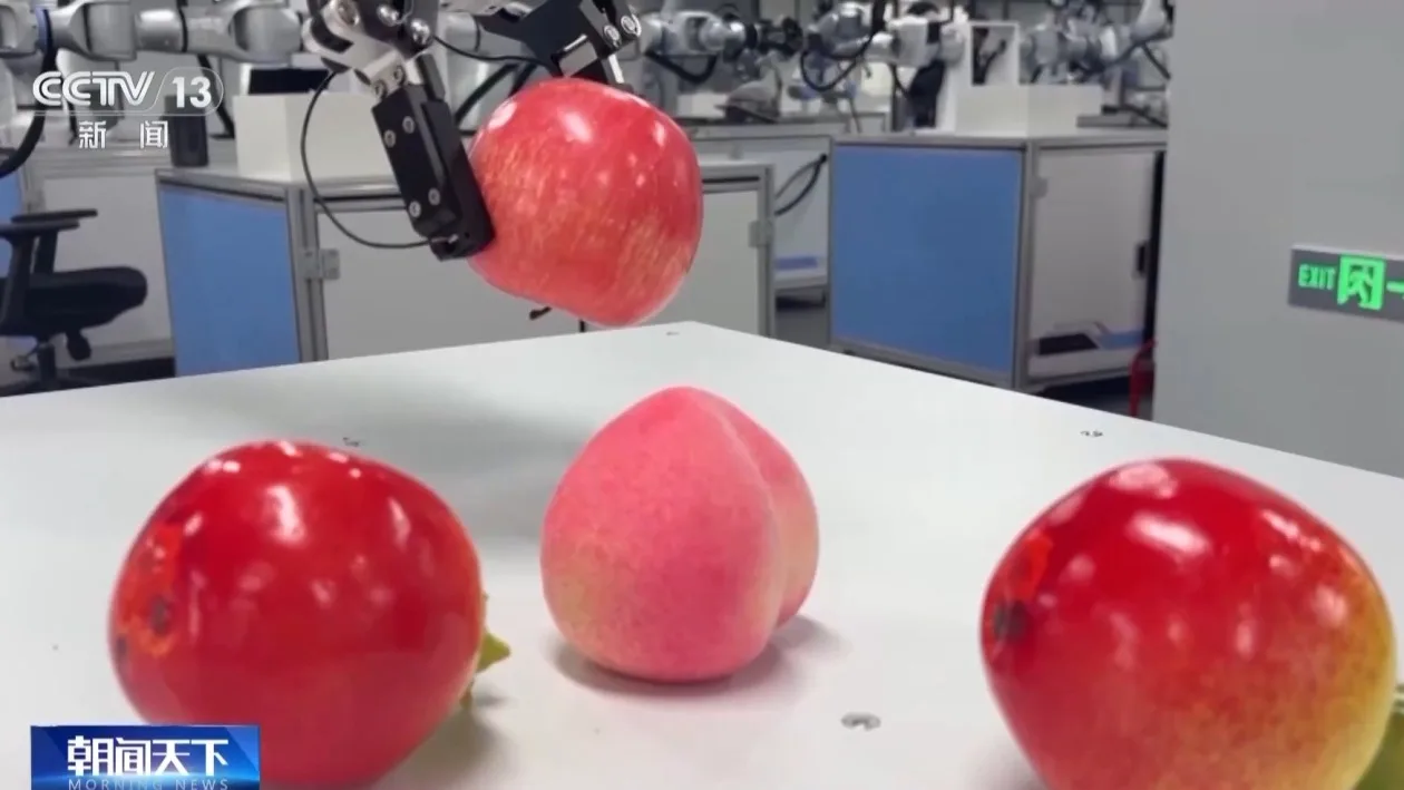 全国最大人形机器人训练基地什么样？总台记者探访