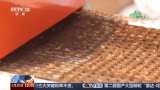 不负农时不负春 春耕生产按下“加速键”