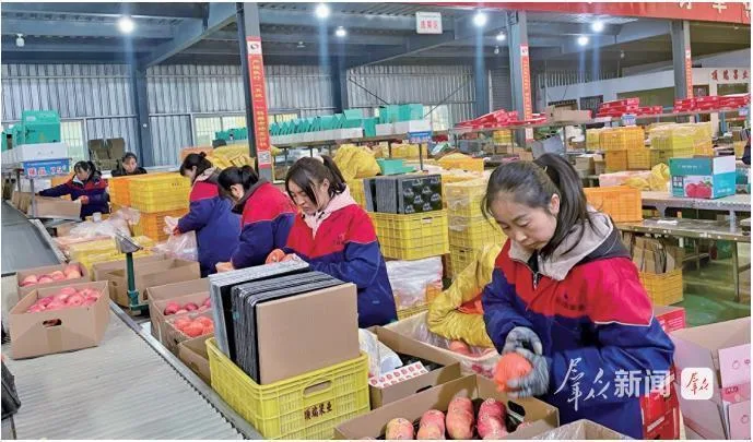 从“靠天吃饭”到“数字务果”——一颗苹果的数智化升级之路