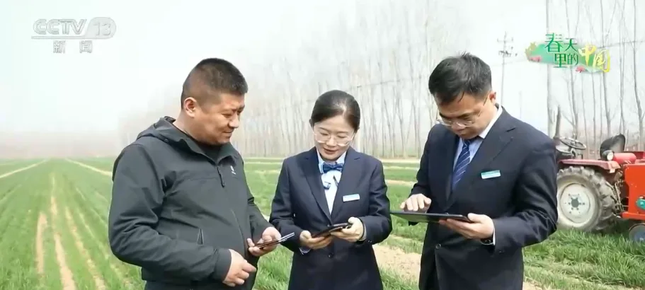 “科技提质增效+金融活水滴灌”为夏粮稳产丰收筑牢基础