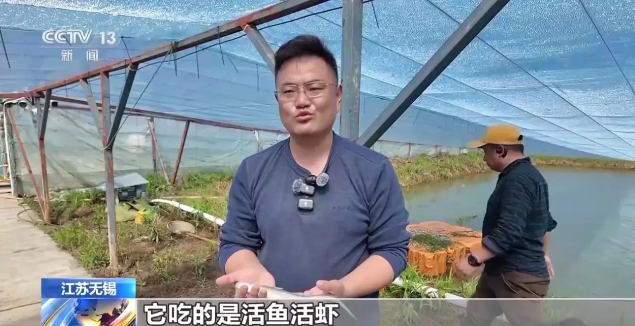 春日尝鲜正当时 一餐一味烟火暖