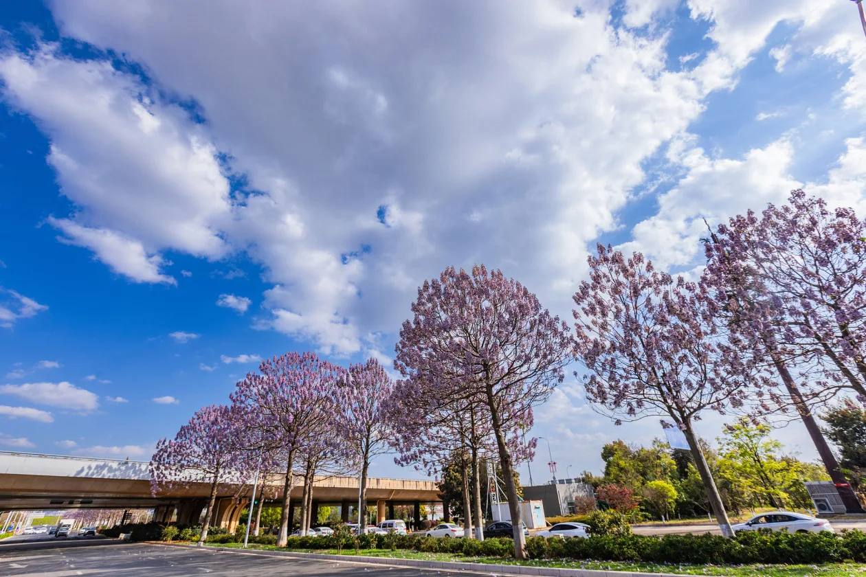 晶采观察丨三个指标之变 藏着“十五五”规划里的民生温度