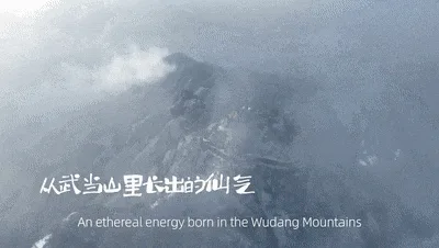世界的武当，为太极起势