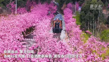 春日经济一线观察｜以花为媒 绘就春日消费新图景