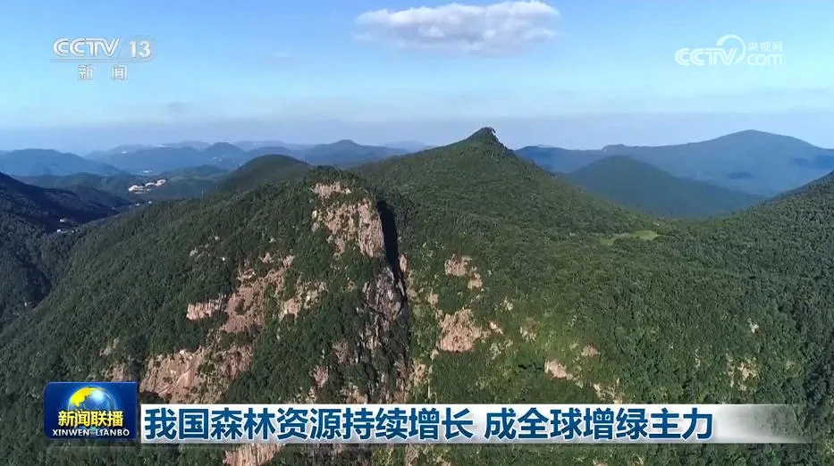 我国森林资源持续增长 成全球增绿主力