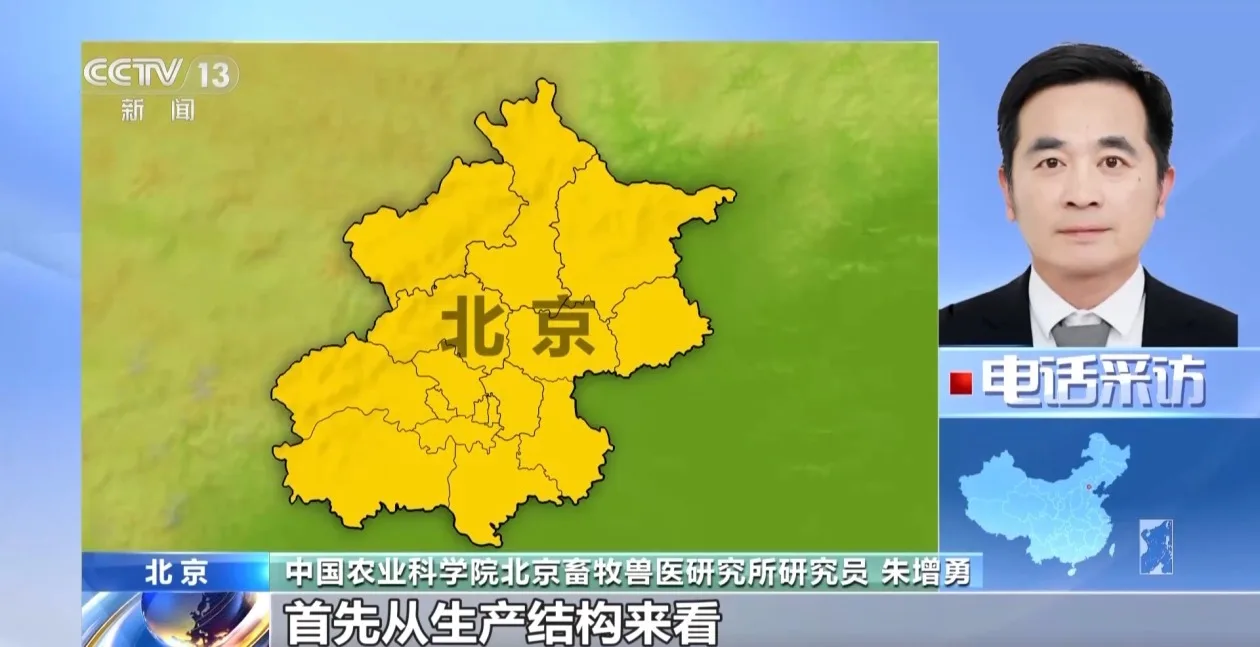 生猪价格为何持续下跌 未来形势如何？专家解读