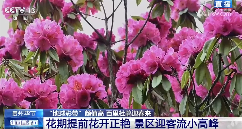 “花样经济”升温“花式”解锁好春光 新业态新场景让“流量”变“留量”