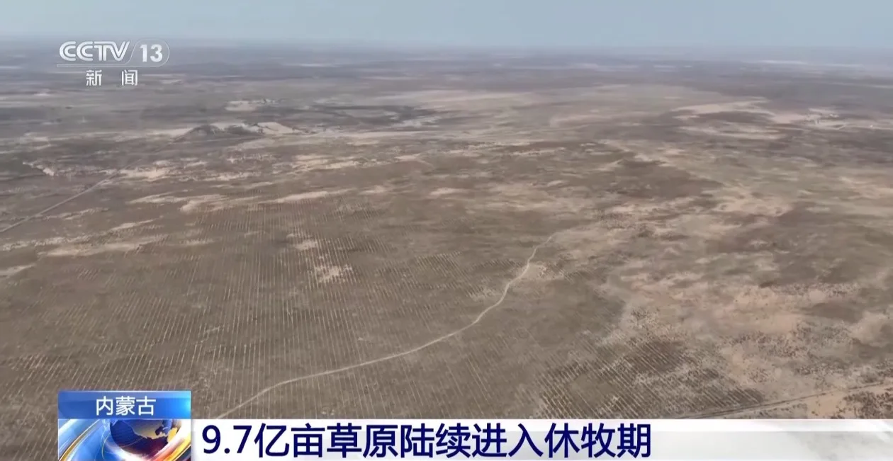 内蒙古9.7亿亩草原陆续进入休牧期 羊儿住进“托儿所”