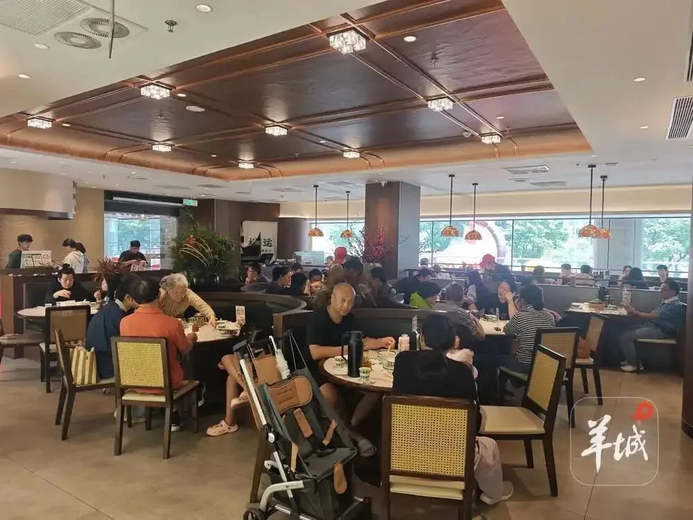 广州早茶新规5月施行！传统早茶点心要求24小时内现制，收取茶位费必须明码标价并提供相应的茶饮服务