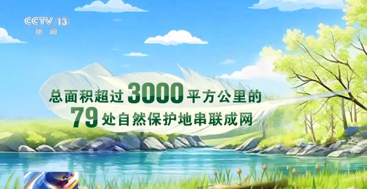 给苍鹭建小区、为崖沙燕“让路” 北京坚守与300万只候鸟的约定