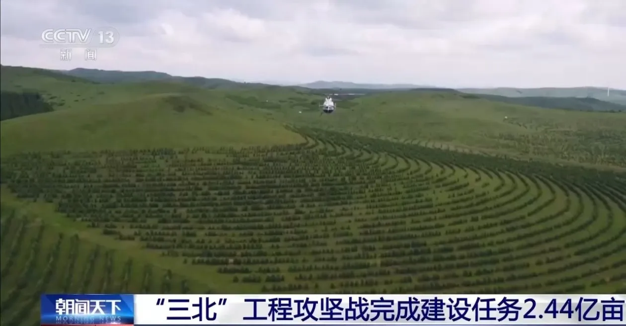 悬崖上植树有多难？揭秘“三北”工程硬核造林过程