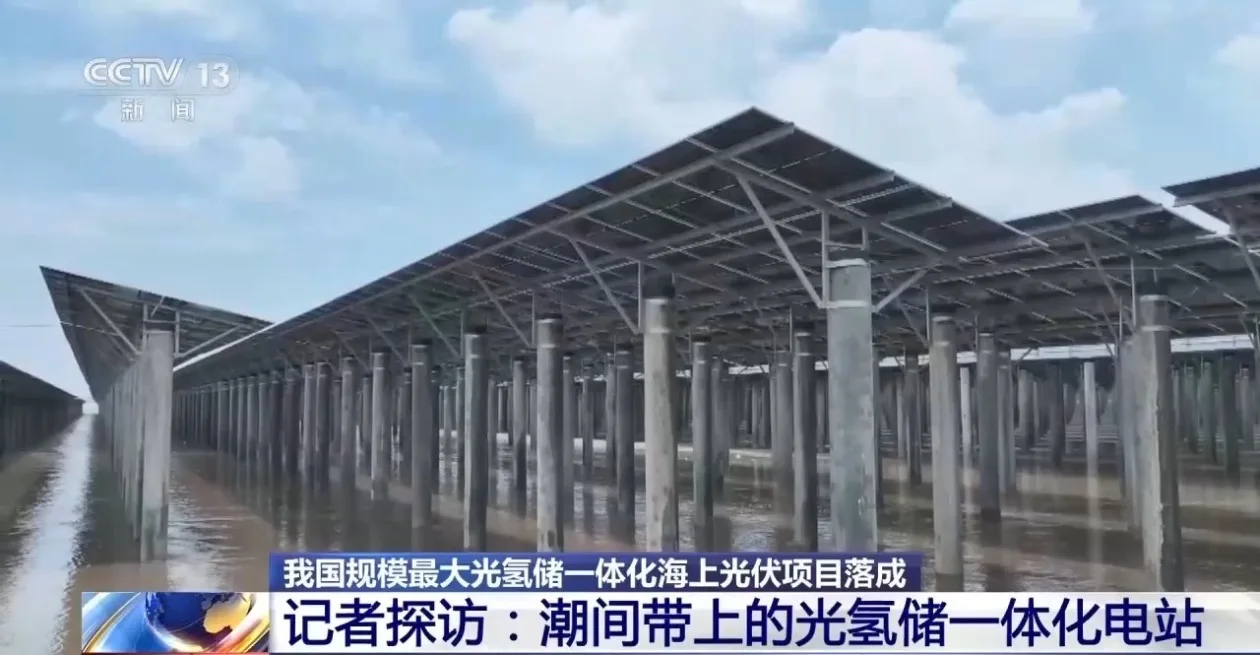 光伏板长出“大长腿” 近距离探访滩涂上的光氢储一体化电站