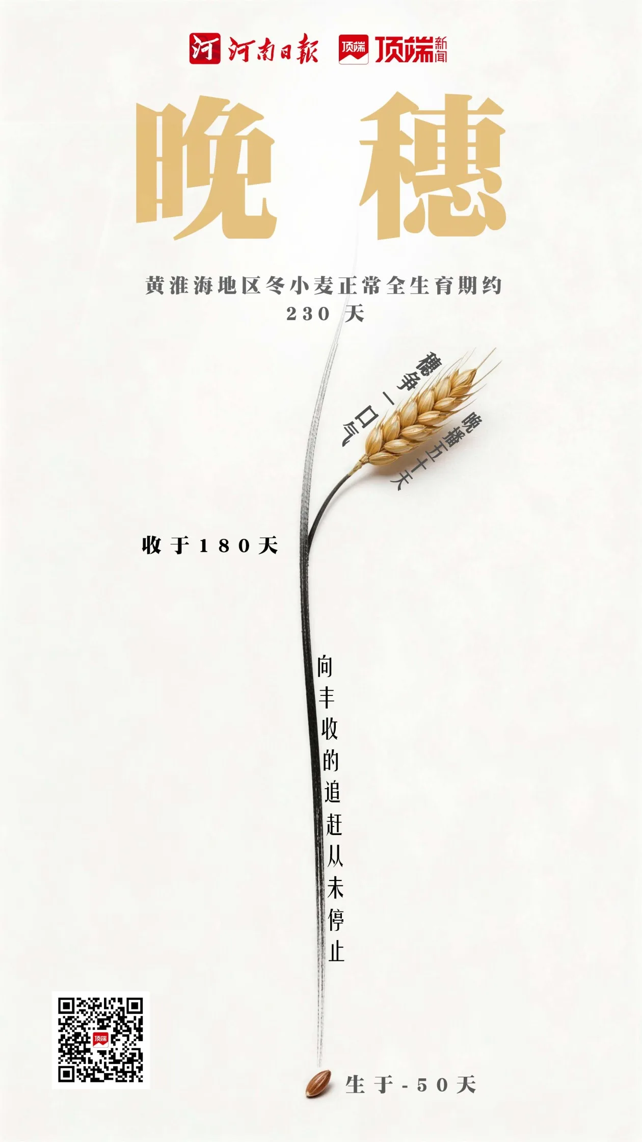 “逆袭”的麦田