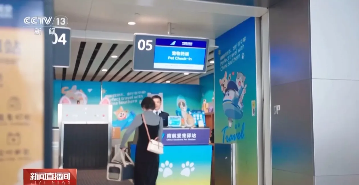 “宠物友好”航线服务升级 “它经济”正成航司竞争新赛道