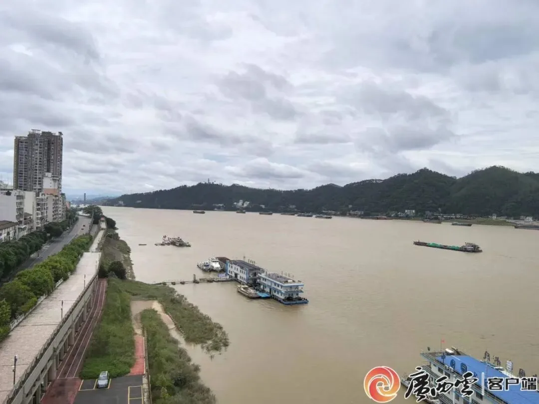 西江发生2026年第2号洪水！广西47条河流60个站超警0.06米至5.24米，水位仍在上涨