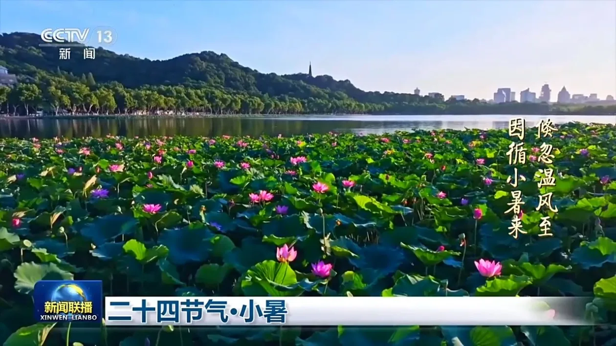 文化中国行丨二十四节气·小暑