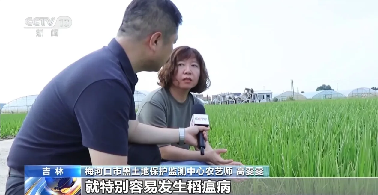 持续暴雨致吉林多地农田受灾 当地全力恢复农业生产