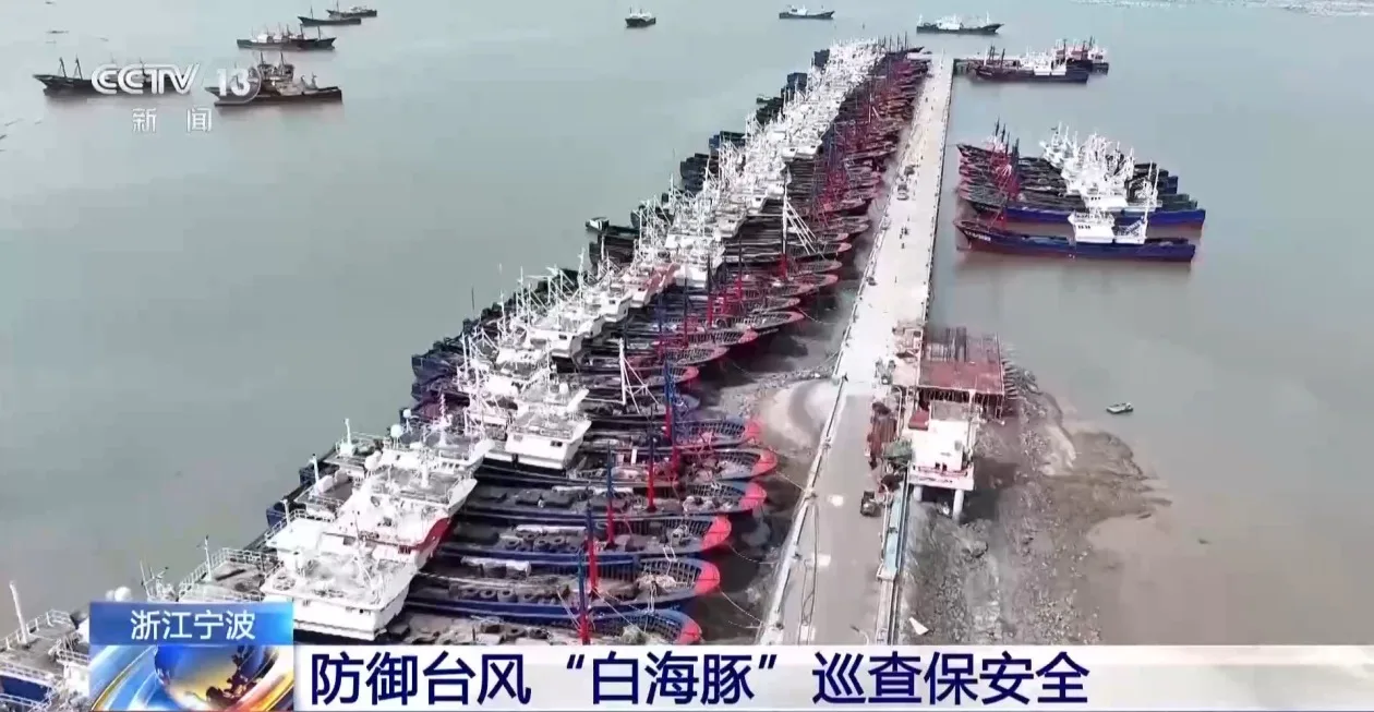 防御台风“白海豚” 浙江福建多地渔船回港避风
