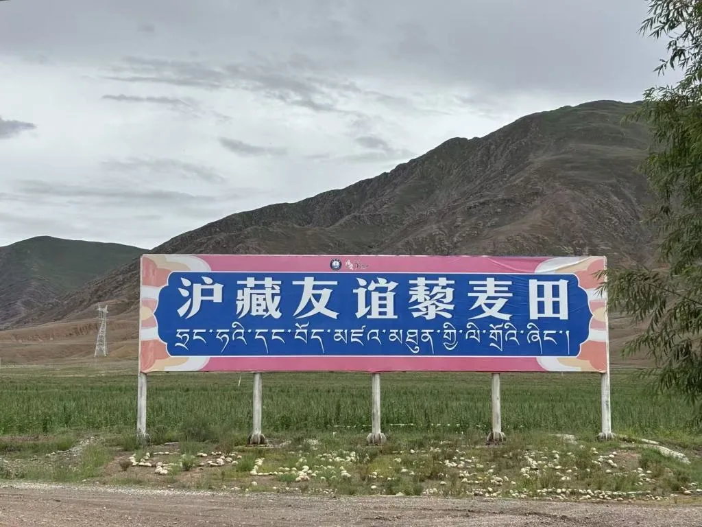 我们的家园｜雪域高原上的友谊，从一粒种、一把琴、一个景点说起