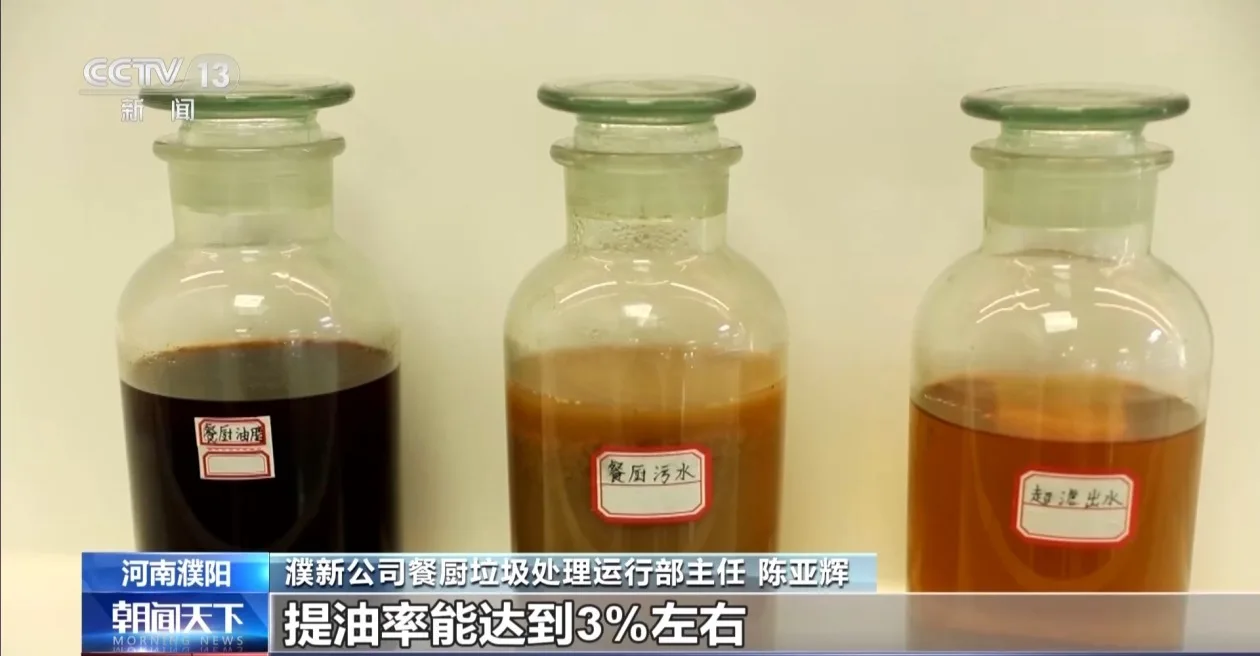 出口订单排到2027年 潲水油如何“飞”上天？