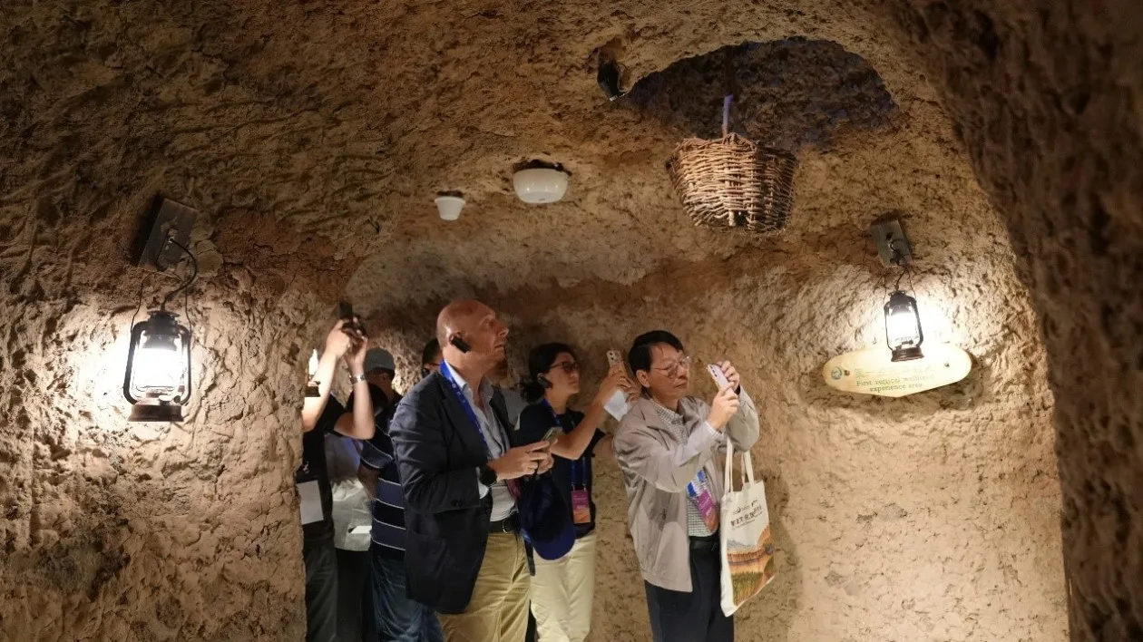 新疆坎儿井的水智慧流向世界