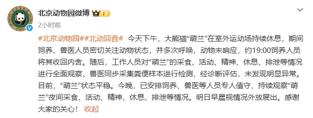 北京动物园回应大熊猫“萌兰”身体状况：目前，“萌兰”状态平稳