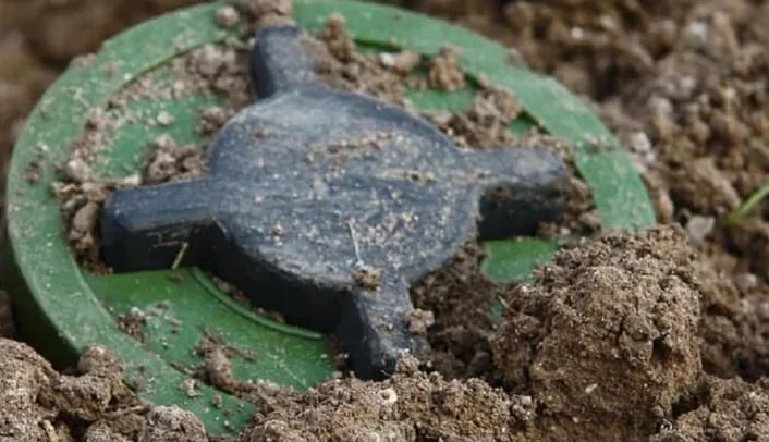 波兰媒体：波兰将于2月20日正式退出《渥太华禁雷公约》