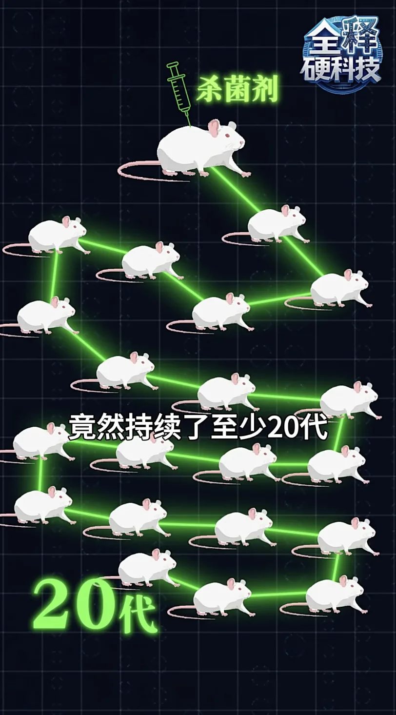 颠覆认知！怀孕大鼠接触杀菌剂，健康影响竟延续至少20代