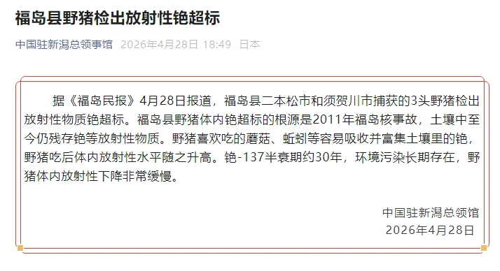 日本福岛县野猪检出放射性铯超标