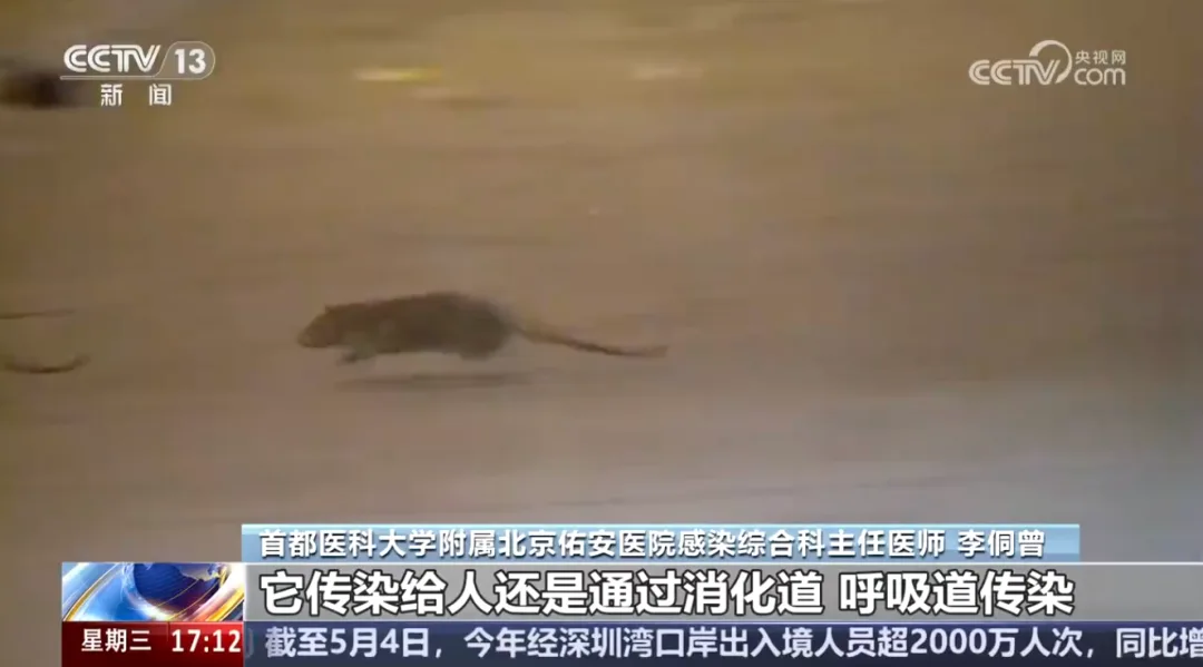 涉疫游轮感染病例增至8人！医生提醒：或通过气溶胶传播