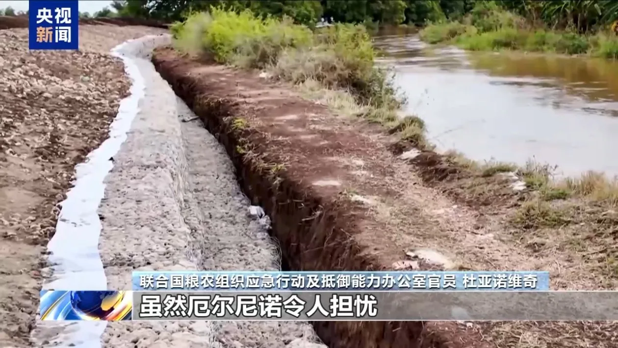 联合国粮农组织：厄尔尼诺现象危及粮食安全