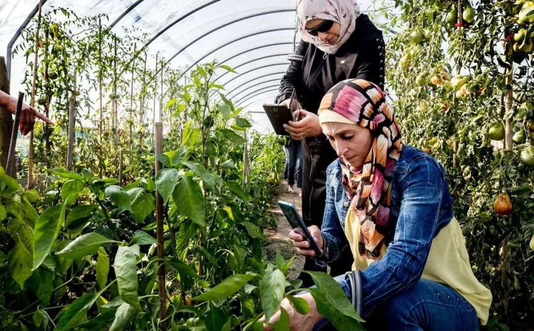 FAO首席经济学家谈粮食安全、中国经验与青年机遇 - 配图2