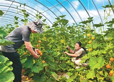 把“三农”短板补得更实（锐财经）