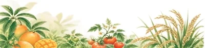 在海南,外籍博士寻找生物防治密码(我在中国·行耕记) - 配图4