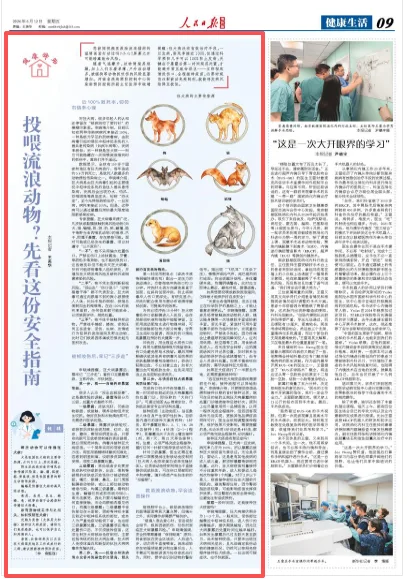投喂流浪动物？先看这份安全指南（健康驿站）