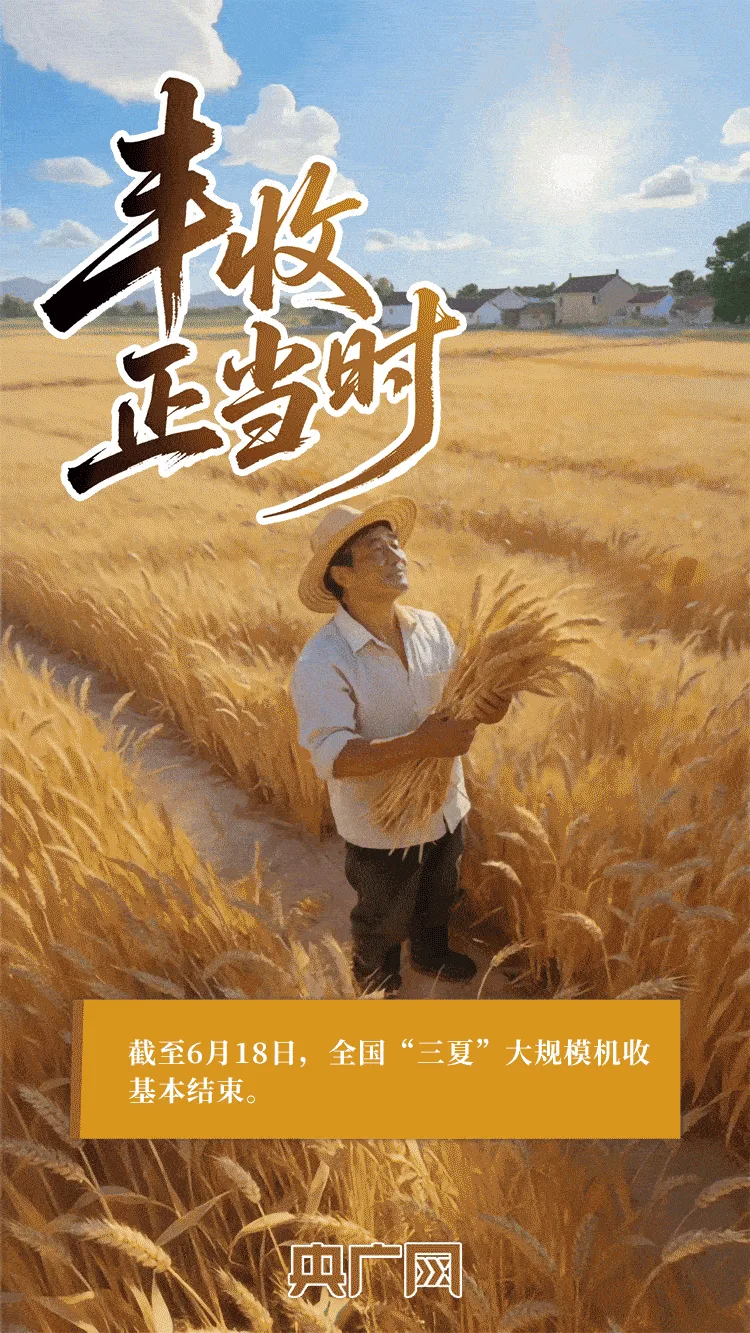 AI中国|一抹金黄,尽绘夏收丰年!