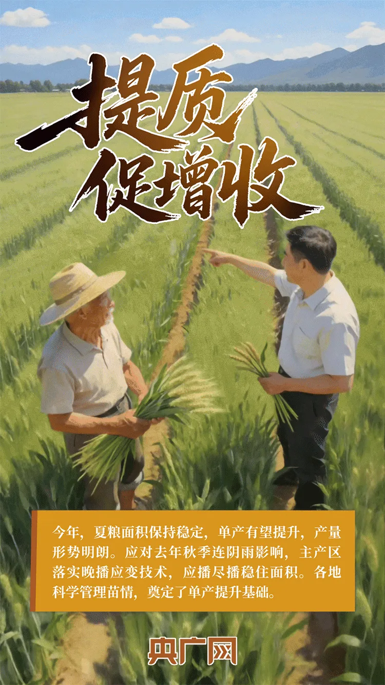 AI中国|一抹金黄,尽绘夏收丰年! - 配图2