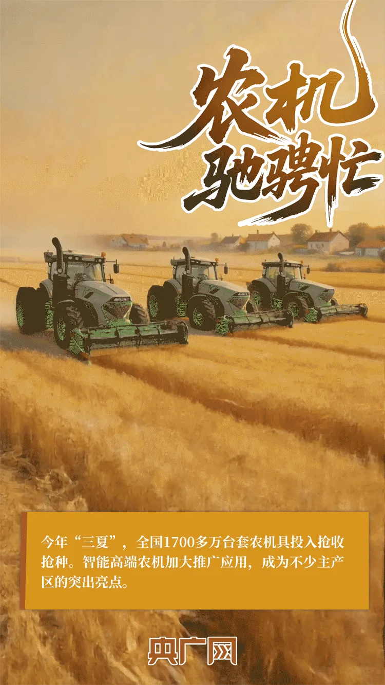 AI中国|一抹金黄,尽绘夏收丰年! - 配图3
