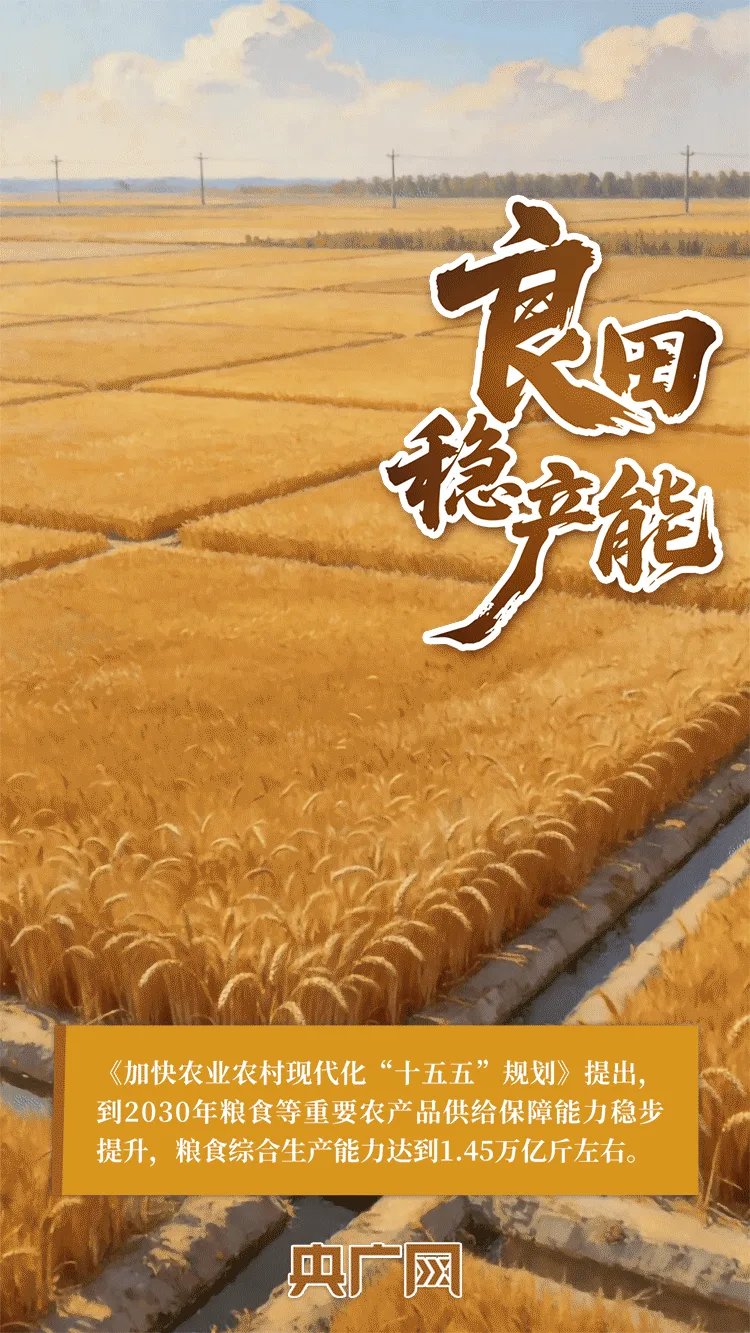 AI中国|一抹金黄,尽绘夏收丰年! - 配图4