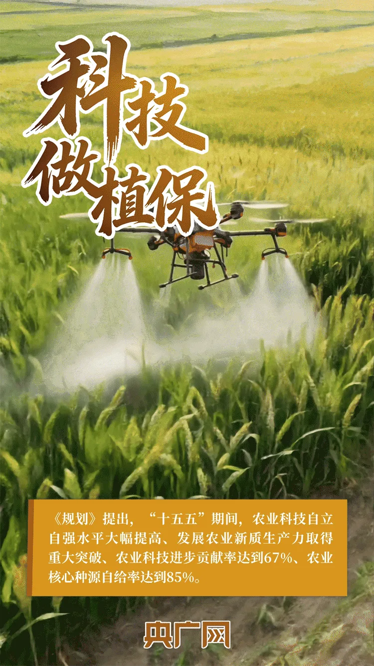 AI中国|一抹金黄,尽绘夏收丰年! - 配图5