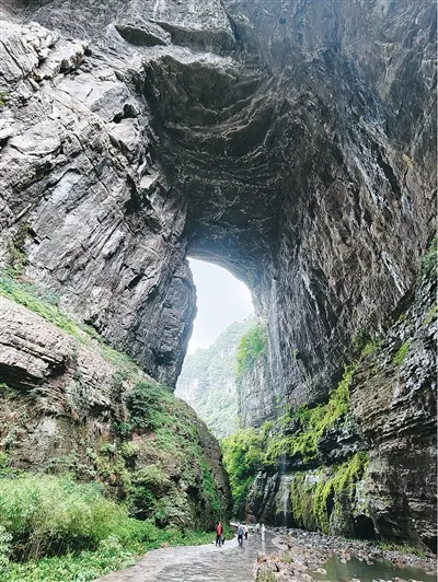走进川渝世界自然遗产保护现场