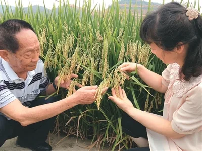 我与土地