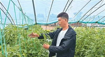 我与土地 - 配图7