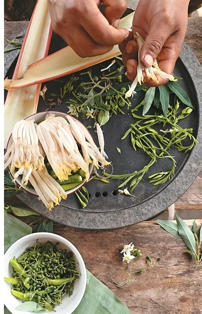 象与象节（遗产小道·国家公园） - 配图5